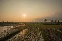 Sotis Villa Canggu Dalung  Экстерьер фото
